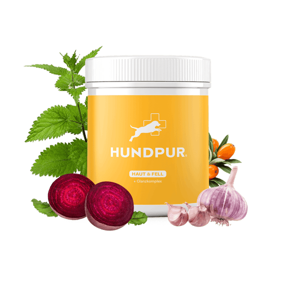 Hundpur® Haut und Fell