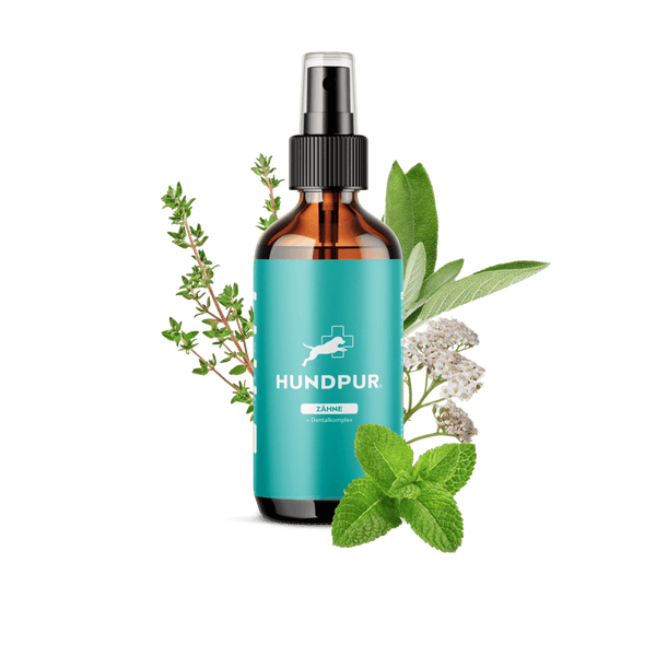 Hundpur® Dentalspray für Hunde