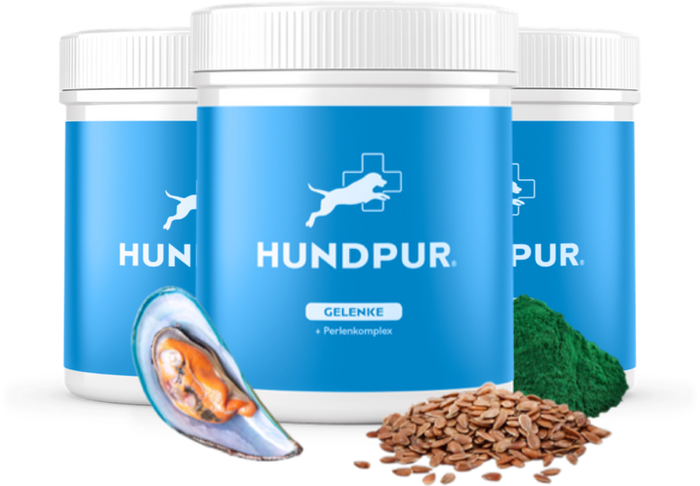 3 für 2: die 3. Dose
ist geschenkt