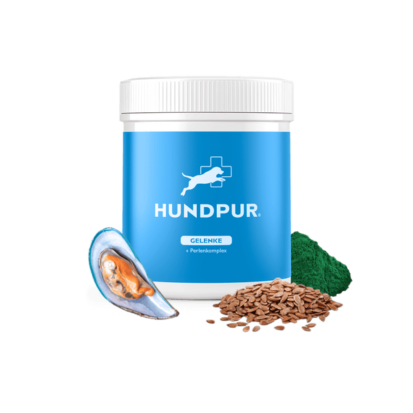 Hundpur® Gelenke mit Grünlippmuschel
