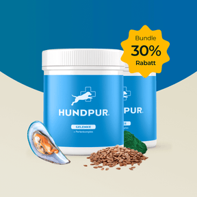 Hundpur® Gelenke Doppelpack 30%