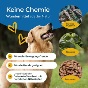 Hundpur® Gelenke 25%
