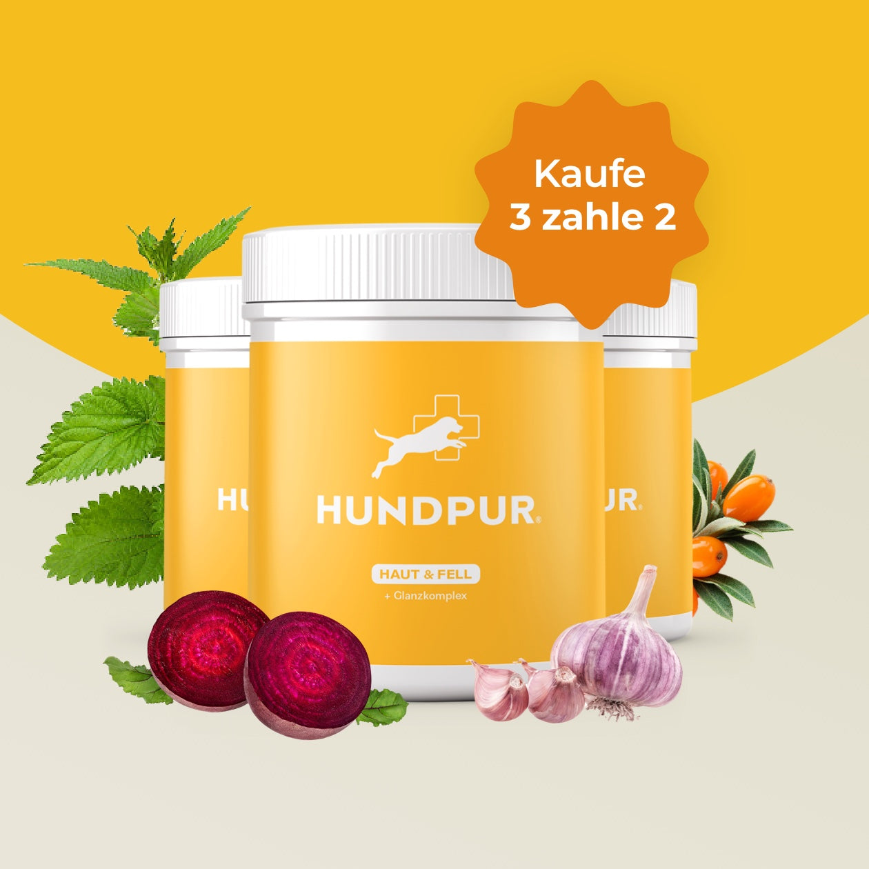 Hundpur® Haut und Fell 3 für 2