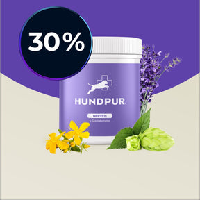 Hundpur® Nerven mit Glückskomplex