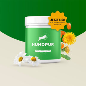 Hundpur® Verdauungsglück