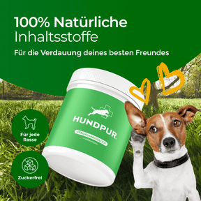 Hundpur® Verdauungsglück + Zähne mit Dentalkomplex & E-Book gratis