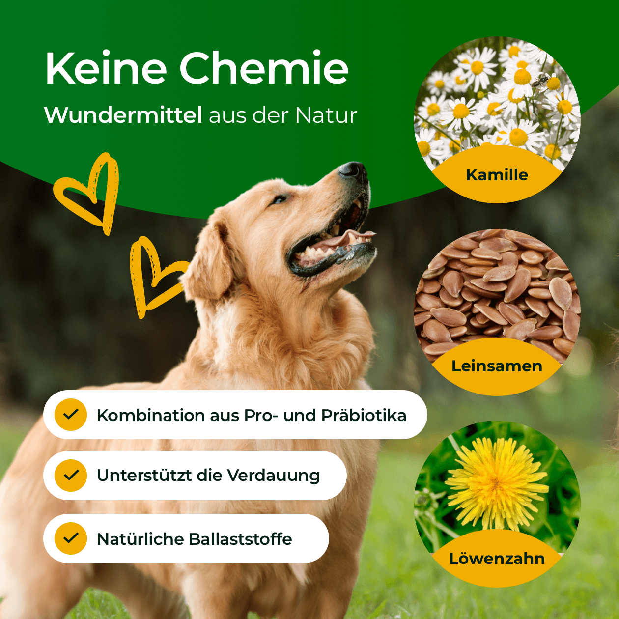 Hundpur® Verdauungsglück + Zähne mit Dentalkomplex & E-Book gratis