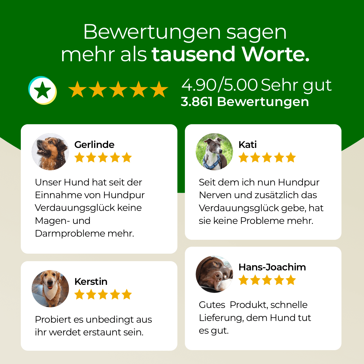 Hundpur® Verdauungsglück + Zähne mit Dentalkomplex & E-Book gratis