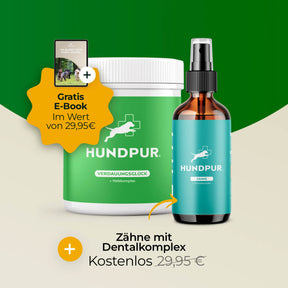 Hundpur® Verdauungsglück + Zähne mit Dentalkomplex & E-Book gratis