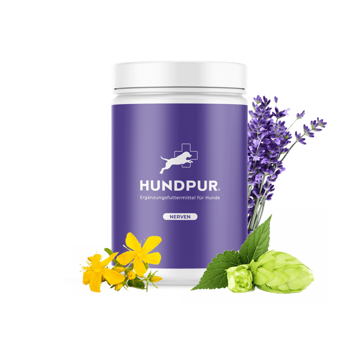 Hundpur® Nerven mit Glückskomplex - BIG
