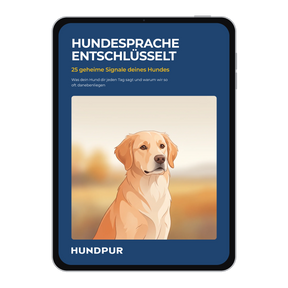 Hundesprache entschlüsselt (E-Book)