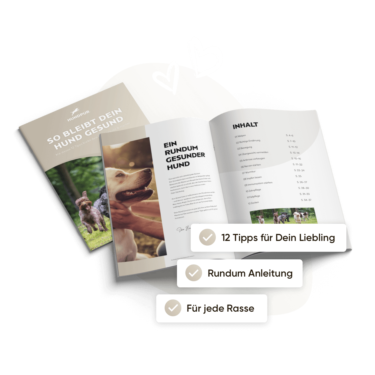 So bleibt dein Hund gesund – E-Book