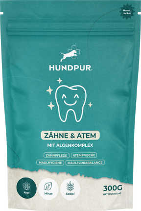 Hundpur® Zähne & Atem 20% Rabatt + GRATIS Dentalspray
