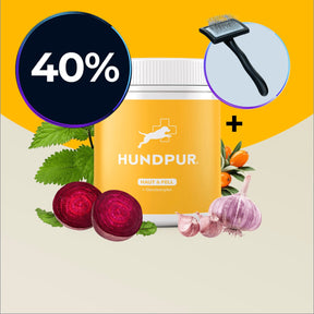 Hundpur® Haut & Fell Bundle