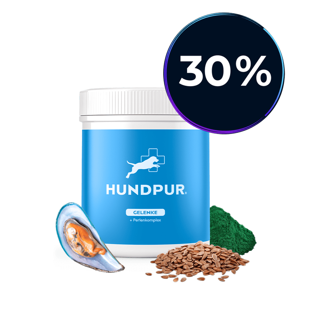 Hundpur® Gelenke mit Grünlippmuschel
