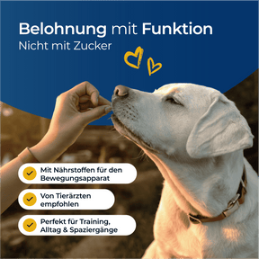 Hundpur® Gelenke & Bänder Bewegungs-Snack