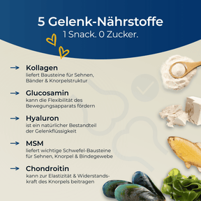 Hundpur® Gelenke & Bänder Bewegungs-Snack