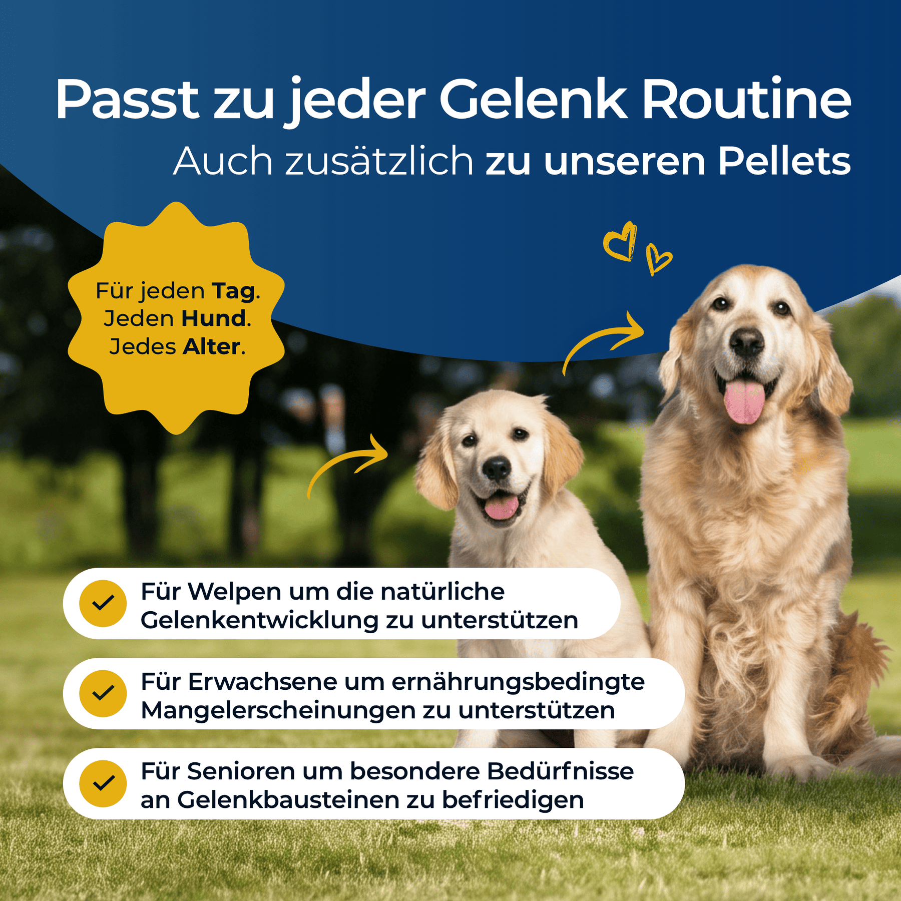 Hundpur® Gelenke & Bänder Bewegungs-Snack