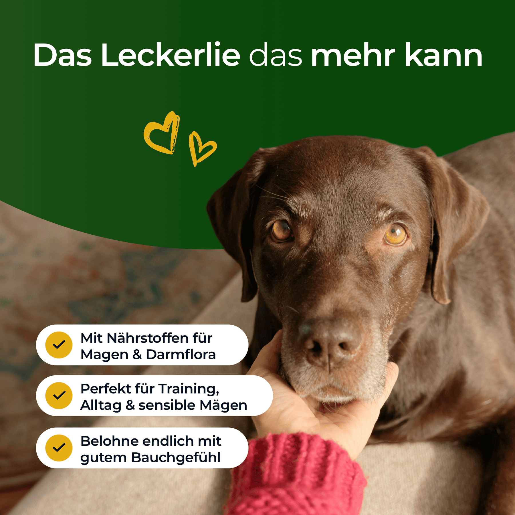Hundpur® Magen & Darm Verdauungs-Snack