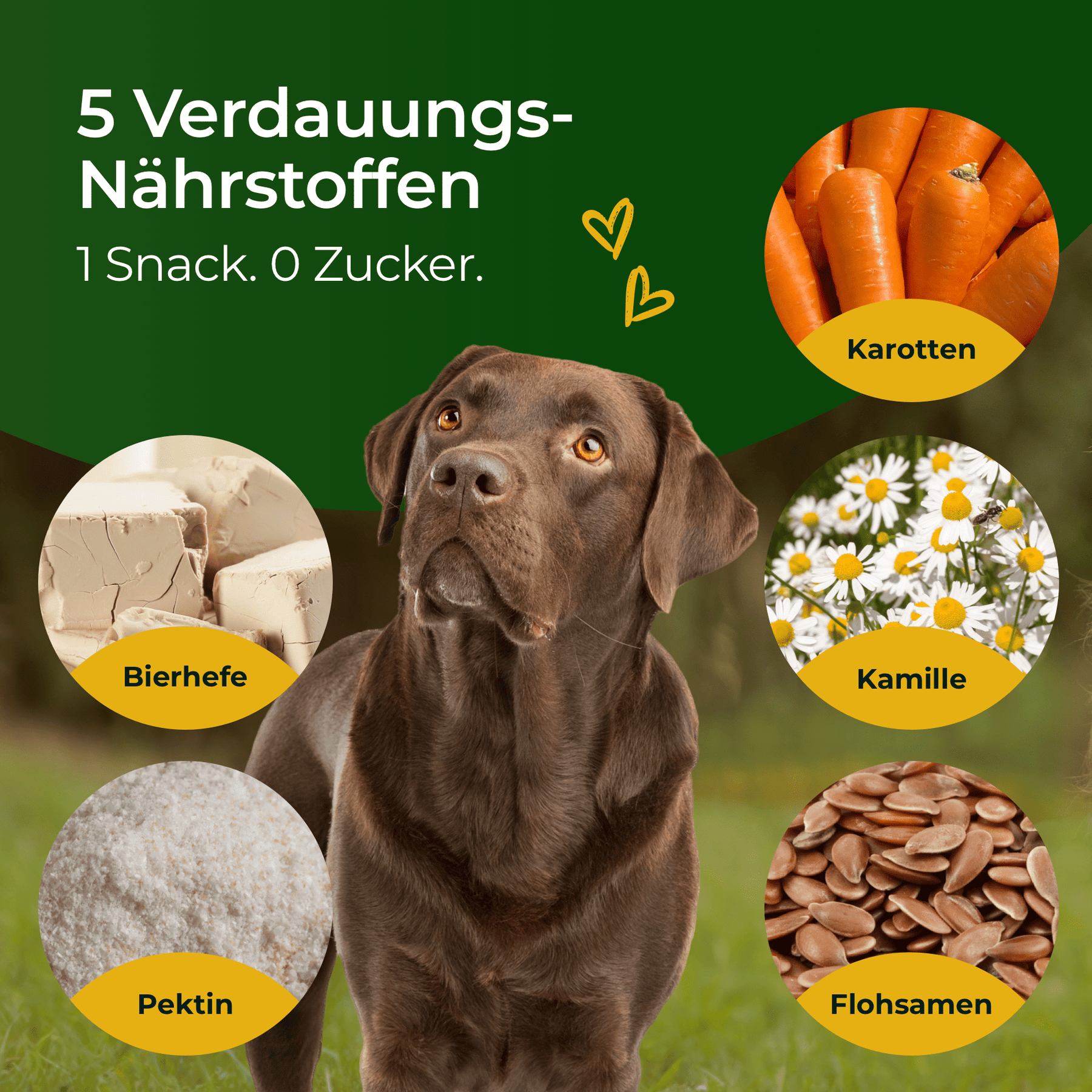 Hundpur® Magen & Darm Verdauungs-Snack