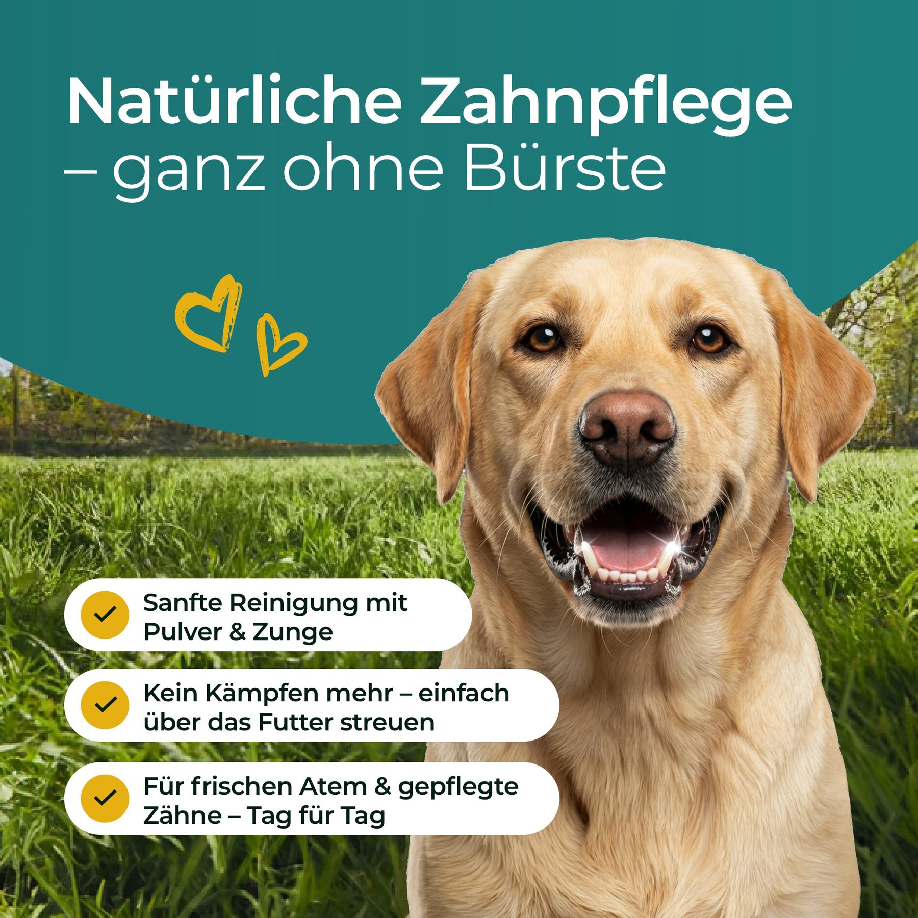 Hundpur® Zähne & Atem 20% Rabatt + GRATIS Dentalspray