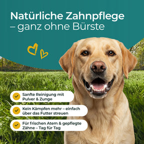 Hundpur® Zähne & Atem 20% Rabatt + GRATIS Dentalspray