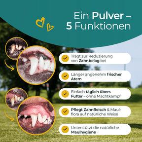 Hundpur® Zähne & Atem