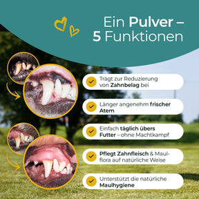 Hundpur® Zähne mit Algenkomplex