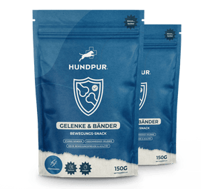Hundpur® Gelenke & Bänder Bewegungs-Snack