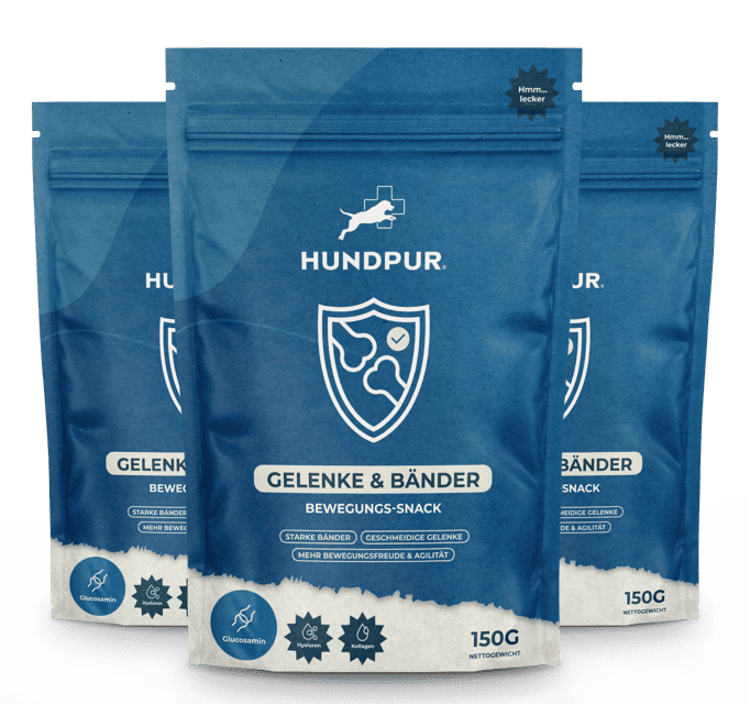 Hundpur® Gelenke & Bänder Bewegungs-Snack