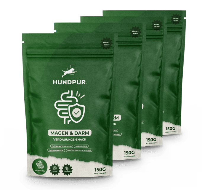 Hundpur® Magen & Darm Verdauungs-Snack