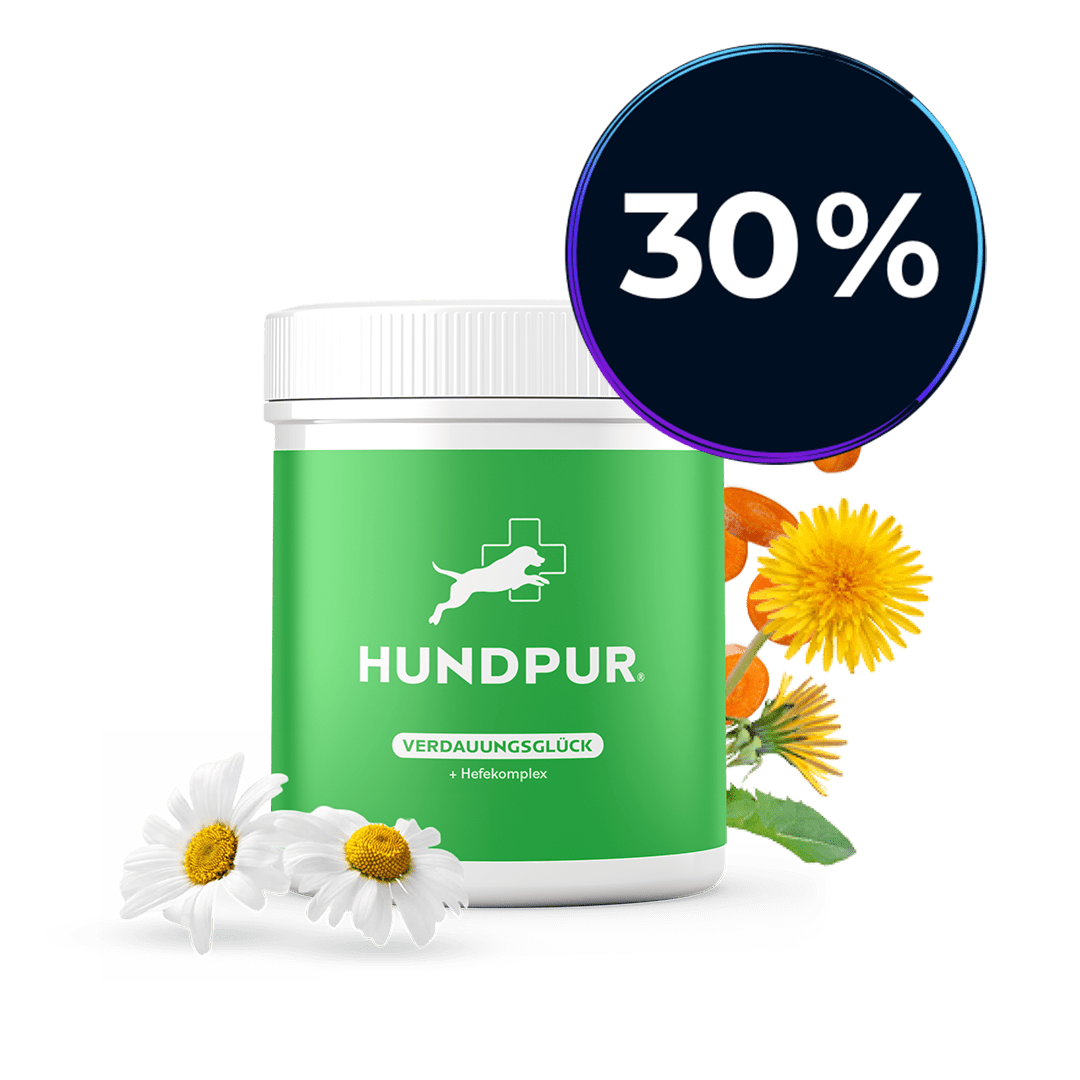 Hundpur® Verdauungsglück mit Probiotika